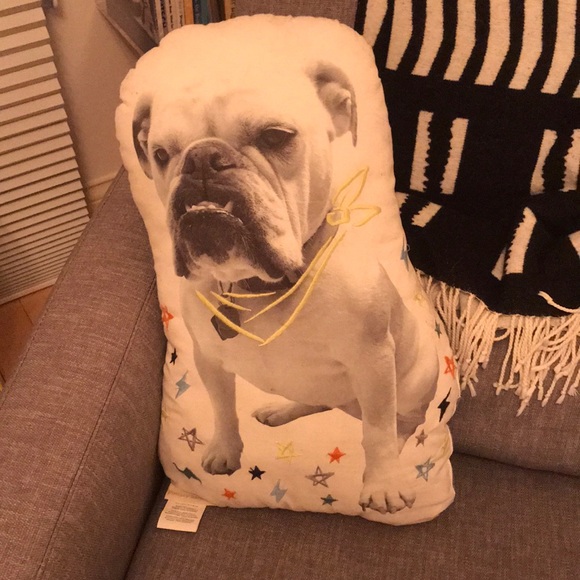 Meet your Posher, Faye - Picture 1 of 1